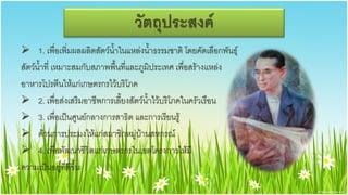 วัตถุประสงค์
 1. เพื่อเพิ่มผลผลิตสัตว์น้าในแหล่งน้าธรรมชาติ โดยคัดเลือกพันธุ์
สัตว์น้าที่ เหมาะสมกับสภาพพื้นที่และภูมิประเทศ เพื่อสร้างแหล่ง
อาหารโปรตีนให้แก่เกษตรกรไว้บริโภค
 2. เพื่อส่งเสริมอาชีพการเลี้ยงสัตว์น้าไว้บริโภคในครัวเรือน
 3. เพื่อเป็นศูนย์กลางการสาธิต และการเรียนรู้
 ด้านการประมงให้แก่สมาชิกหมู่บ้านสหกรณ์
 4. เพื่อพัฒนาชีวิตแก่เกษตรกรในเขตโครงการให้มี
ความเป็นอยู่ที่ดีขึ้น
 