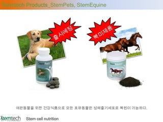 Stemtech Products_StemPets, StemEquine




     애완동물을 위한 건강식품으로 모든 포유동물은 성체줄기세포로 복원이 가능하다.


        Stem cell nutrition
 