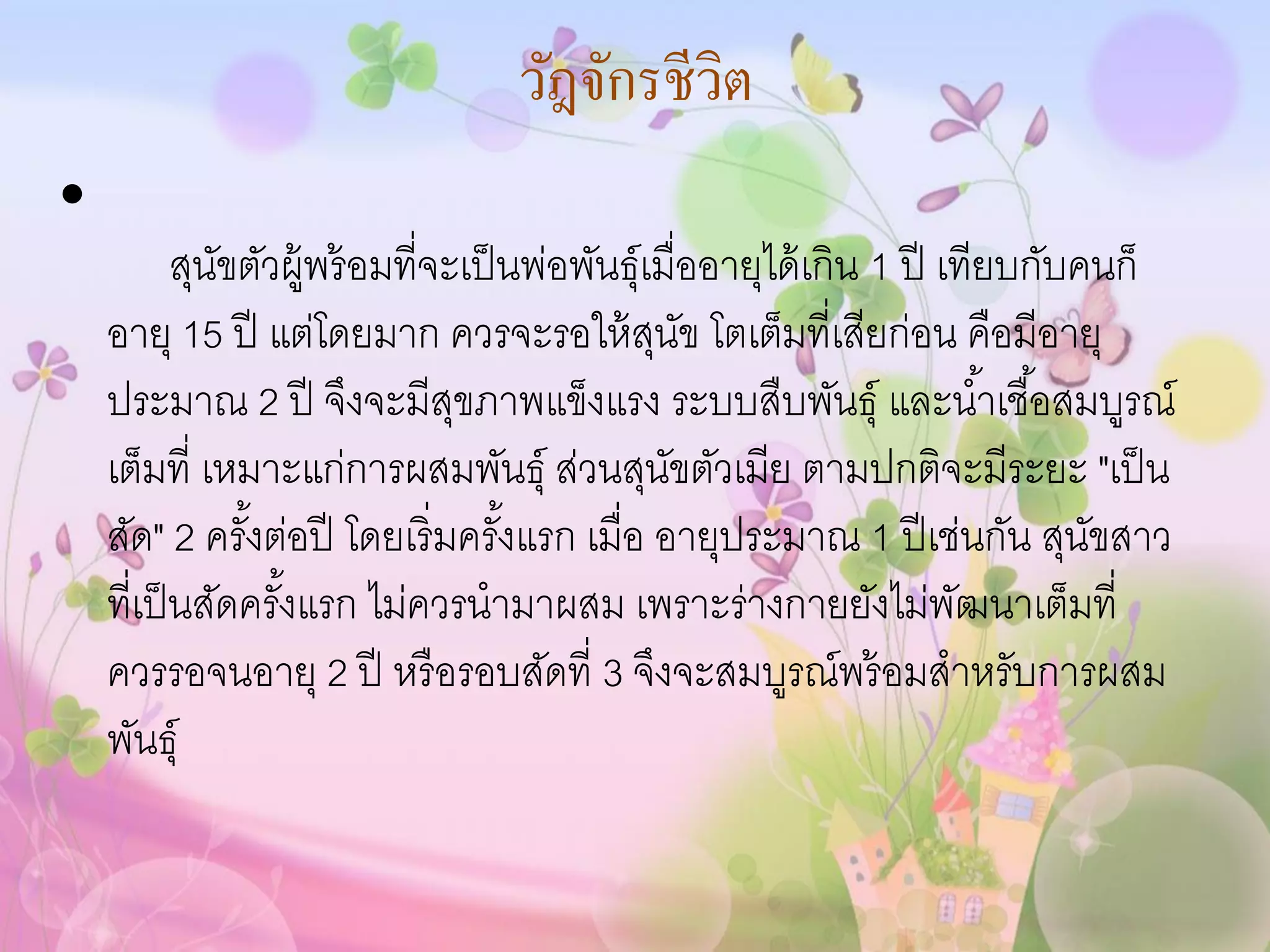 วัฎจักรชีวิต
•
           สุนขตัวผู้พร้ อมที่จะเป็ นพ่อพันธุ์เมื่ออายุได้ เกิน 1 ปี เทียบกับคนก็
              ั
    อายุ 15 ปี แต่โดยมาก ควรจะรอให้ สนข โตเต็มที่เสียก่อน คือมีอายุ
                                               ุ ั
    ประมาณ 2 ปี จึงจะมีสขภาพแข็งแรง ระบบสืบพันธุ์ และน ้าเชื ้อสมบูรณ์
                                ุ
    เต็มที่ เหมาะแก่การผสมพันธุ์ ส่วนสุนขตัวเมีย ตามปกติจะมีระยะ "เป็ น
                                                 ั
    สัด" 2 ครังต่อปี โดยเริ่มครังแรก เมื่อ อายุประมาณ 1 ปี เช่นกัน สุนขสาว
                ้                   ้                                         ั
    ที่เป็ นสัดครังแรก ไม่ควรนามาผสม เพราะร่างกายยังไม่พฒนาเต็มที่
                  ้                                                   ั
    ควรรอจนอายุ 2 ปี หรื อรอบสัดที่ 3 จึงจะสมบูรณ์พร้ อมสาหรับการผสม
    พันธุ์
 