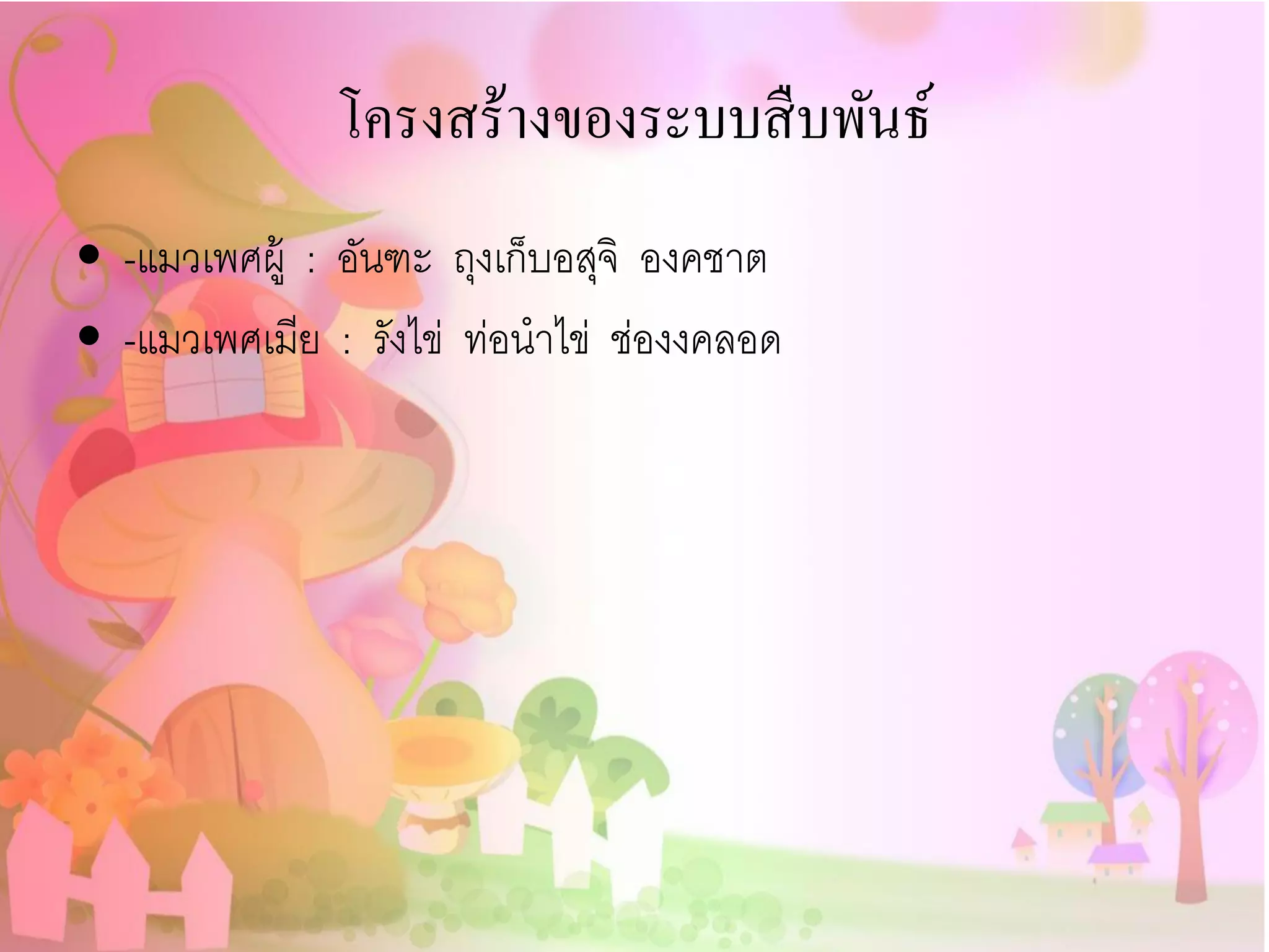 โครงสร้างของระบบสื บพันธ์
• -แมวเพศผู้ : อันฑะ ถุงเก็บอสุจิ องคชาต
• -แมวเพศเมีย : รังไข่ ท่อนาไข่ ช่องงคลอด
 