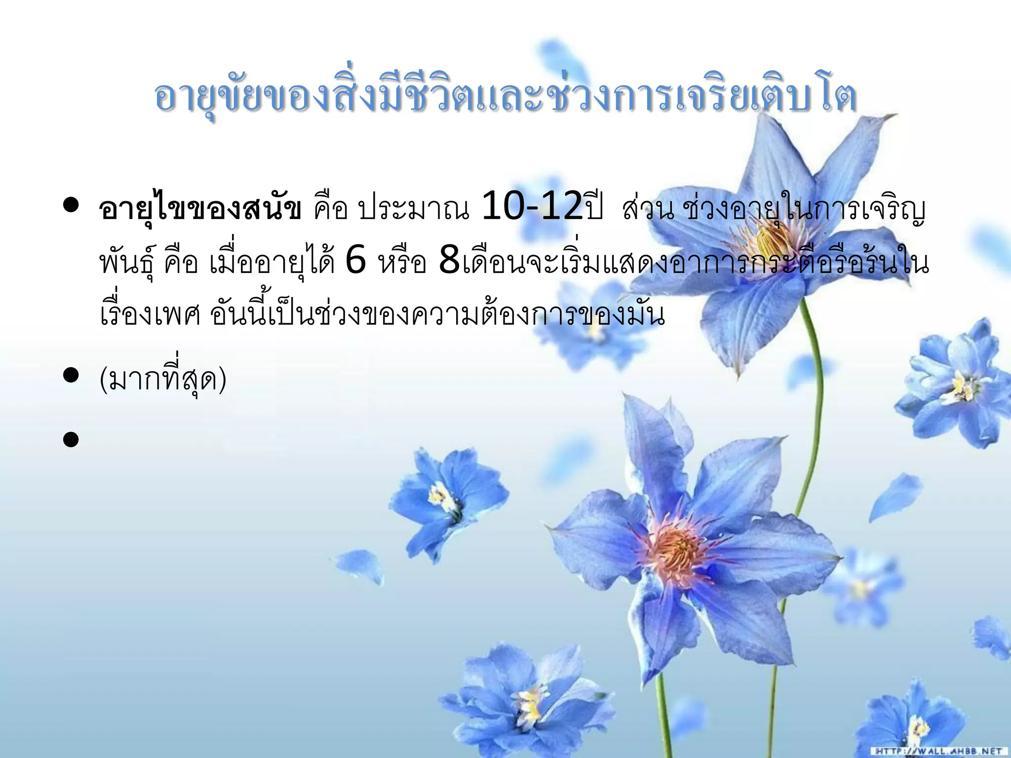 อายุขยของสิ่ งมีชีวตและช่วงการเจริ ยเติบโต
            ั             ิ
• อายุไขของสนัข คือ ประมาณ 10-12ปี ส่วน ช่วงอายุในการเจริญ
  พันธุ์ คือ เมื่ออายุได้ 6 หรื อ 8เดือนจะเริ่มแสดงอาการกระตือรื อร้ นใน
  เรื่ องเพศ อันนี ้เป็ นช่วงของความต้ องการของมัน
• (มากที่สด)ุ
•
 