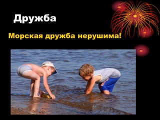 Дружба
Морская дружба нерушима!
 