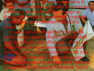 เสริมให้เกษตรกรทำาการเกษตรแบบผสมผสาน มี
การปลูกพืชหลายชนิด และเลี้ยงสัตว์ มีการรวมกลุ่ม
อาชีพต่าง ๆ จัดหาอาชีพเสริมให้แก่ราษฎร ยก
ตัวอย่างเช่น การปลูกผักปลอดสารพิษ การส่งเสริม
การปลูกไม้ผล และการส่งเสริมการเลี้ยงไก่ไข่
เป็นต้น
     4. แผนงานด้านการฟื้นฟูทรัพยากรธรรมชาติ
และสิ่งแวดล้อม ปลูกป่าในพื้นที่ที่ได้จัดไว้เป็นพื้นที่
อนุรักษ์และฟื้นฟูสภาพป่าบริเวณภูเขา เชิงเขา และ
เหนืออ่างเก็บนำ้าตามแนวคลองชลประทาน เนื้อที่
ประมาณ 7,000 ไร่ โดยเริ่มดำาเนินการตั้งแต่ปี 2534
เป็นต้นมา เพื่อให้สภาพป่าไม้กลับมามีความอุดม
สมบูรณ์เป็นแหล่งต้นนำ้าลำาธาร นอกจากนี้ ได้ดำาเนิน
การปลูกป่าในพื้นที่สวนกลางบริเวณชุมชน โดยให้
                    ่
 