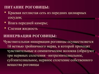 ПИТАНИЕ РОГОВИЦЫ:
 Краевая петлистая сеть из передних цилиарных
  сосудов;
 Влага передней камеры;
 Слезная жидкость

ИННЕРВАЦИЯ РОГОВИЦЫ:
Чувствительная иннервация роговицы осуществляется
  1й ветвью тройничного нерва, в которой проходят
  чувствительные и симпатические волокна (образуют
  три нервных сплетения –интраэпителиальное,
  субэпителиальное, нервное сплетение собственного
  вещества роговицы
 