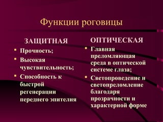 Функции роговицы
   ЗАЩИТНАЯ             ОПТИЧЕСКАЯ
 Прочность;            Главная
                         преломляющая
 Высокая
                         среда в оптической
  чувствительность;      системе глаза;
 Способность к         Светопроведение и
  быстрой                светопреломление
  регенерации            благодаря
  переднего эпителия     прозрачности и
                         характерной форме
 