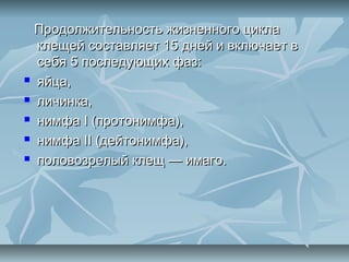 Продолжительность жизненного цикла
  клещей составляет 15 дней и включает в
  себя 5 последующих фаз:
 яйца,

 личинка,

 нимфа I (протонимфа),

 нимфа II (дейтонимфа),

 половозрелый клещ — имаго.
 