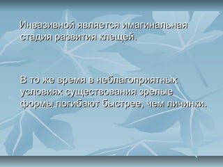 Инвазивной является имагинальная
стадия развития клещей.



В то же время в неблагоприятных
условиях существования зрелые
формы погибают быстрее, чем личинки.
 