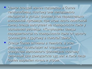    Самки клещей менее подвижны и более
    теплолюбивы, поэтому они неподвижно
    находятся в устьях фолликулов параллельно
    волосяной луковице, при этом часто хвостовой
    конец клеща выступает на поверхности кожи у
    основания ресницы. «Кочующие» самцы
    передвигаются по поверхности кожи от одного
    фолликула к другому в поисках самок.
   Клещи более активны в темноте, в этих
    условиях происходит их спаривание в
    отверстии волосяного фолликула поэтому
    типичный для демодекоза зуд век и кожи лица
    более выражен ночью и утром.
 