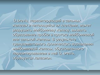 D.brevis, паразитирующий в сальных
железах и питающийся их клетками, может
разрушить мейбомиеву железу, вызвать
образование пробки в протоке мейбомиевой
или сальной железы. В результате
гранулематозного хронического воспаления
мейбомиевой железы, обусловленного
паразитированием в ней D. brevis,
образуется халазион.
 