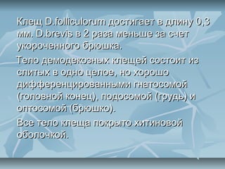Клещ D.folliculorum достигает в длину 0,3
мм. D.brevis в 2 раза меньше за счет
укороченного брюшка.
Тело демодекозных клещей состоит из
слитых в одно целое, но хорошо
дифференцированными гнатосомой
(головной конец), подосомой (грудь) и
оптосомой (брюшко).
Все тело клеща покрыто хитиновой
оболочкой.
 