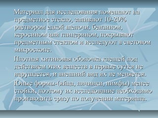 Материал для исследования помещают на
предметное стекло, заливают 10-20%
раствором едкой щелочи, бензином,
керосином или глицерином, покрывают
предметным стеклом и исследуют в световом
микроскопе.
Плотная хитиновая оболочка клещей под
действием этих веществ в первые сутки не
нарушается, и внешний вид их не меняется.
Юные формы-(яйца, личинки, нимфы) менее
стойки, поэтому их исследование необходимо
производить сразу по получении материала.
 