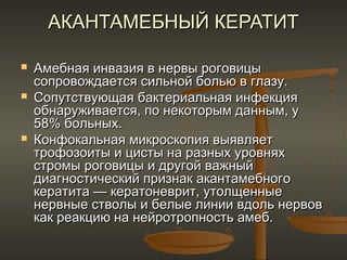 АКАНТАМЕБНЫЙ КЕРАТИТ

   Амебная инвазия в нервы роговицы
    сопровождается сильной болью в глазу.
   Сопутствующая бактериальная инфекция
    обнаруживается, по некоторым данным, у
    58% больных.
   Конфокальная микроскопия выявляет
    трофозоиты и цисты на разных уровнях
    стромы роговицы и другой важный
    диагностический признак акантамебного
    кератита — кератоневрит, утолщенные
    нервные стволы и белые линии вдоль нервов
    как реакцию на нейротропность амеб.
 