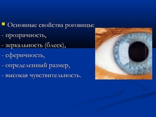   Основные свойства роговицы:
- прозрачность,
- зеркальность (блеск),
- сферичность,
- определенный размер,
- высокая чувствительность.
 