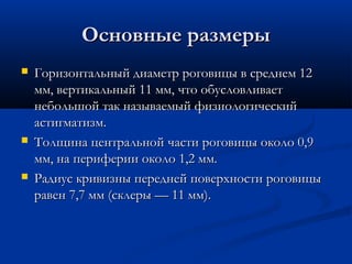 Основные размеры
   Горизонтальный диаметр роговицы в среднем 12
    мм, вертикальный 11 мм, что обусловливает
    небольшой так называемый физиологический
    астигматизм.
   Толщина центральной части роговицы около 0,9
    мм, на периферии около 1,2 мм.
   Радиус кривизны передней поверхности роговицы
    равен 7,7 мм (склеры — 11 мм).
 