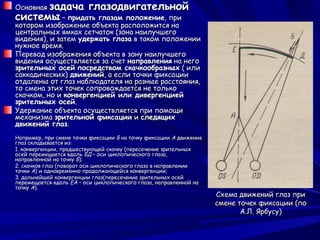 Основная задача глазодвигательной
системы – придать глазам положение, при
котором изображение объекта расположится на
центральных ямках сетчаток (зона наилучшего
видения), и затем удержать глаза в таком положении
нужное время.
Перевод изображения объекта в зону наилучшего
видения осуществляется за счет направления на него
зрительных осей посредством скачкообразных ( или
саккадических) движений, а если точки фиксации
отдалены от глаз наблюдателя на разные расстояния,
то смена этих точек сопровождается не только
скачком, но и конвергенцией или дивергенцией
зрительных осей.
Удержание объекта осуществляется при помощи
механизма зрительной фиксации и следящих
движений глаз.
Например, при смене точки фиксации Б на точку фиксации А движение
глаз складывается из:
1. конвергенции, предшествующей скачку (пересечение зрительных
осей перемещается вдоль БД – оси циклопического глаза,
направленной на точку Б);
2. скачков глаз (поворот оси циклопического глаза в направлении
точки А) и одновременно продолжающейся конвергенции;
3. дальнейшей конвергенции глаз(пересечение зрительных осей
перемещается вдоль ЕА – оси циклопического глаза, направленной на
точку А).
                                                                    Схема движений глаз при
                                                                    смене точек фиксации (по
                                                                           А.Л. Ярбусу)
 