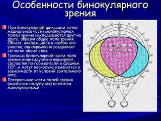 Особенности бинокулярного
           зрения
При бинокулярной фиксации точки
медиальные части монокулярных
полей зрения накладываются друг на
друга, образуя общее поле зрения.
Объект, находящийся в любом его
участке, одновременно раздражает
сетчатки обоих глаз.
Границы бинокулярной части поля
зрения индивидуально варьируют,
составляя по горизонтали в среднем
115°, и могут несколько изменяться в
зависимости от условий зрительного
акта.
Латеральные части полей зрения
(височные полулуния) остаются
монокулярными.
 