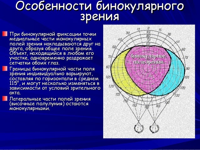 Атаракс и внутриглазное давление