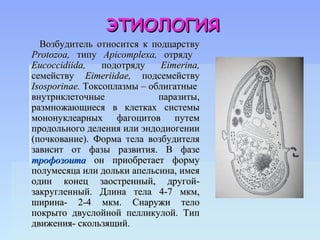 ЭТИОЛОГИЯ
  Возбудитель относится к подцарству
Protozoa, типу Apicomplexa, отряду
Eucoccidiida,    подотряду    Eimerina,
семейству Eimeriidae, подсемейству
Isosporinae. Токсоплазмы – облигатные
внутриклеточные              паразиты,
размножающиеся в клетках системы
мононуклеарных фагоцитов путем
продольного деления или эндодиогении
(почкование). Форма тела возбудителя
зависит от фазы развития. В фазе
трофозоита он приобретает форму
полумесяца или дольки апельсина, имея
один конец заостренный, другой-
закругленный. Длина тела 4-7 мкм,
ширина- 2-4 мкм. Снаружи тело
покрыто двуслойной пелликулой. Тип
движения- скользящий.
 