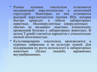  Разные     штаммы      токсоплазм      отличаются
  неодинаковой вирулентностью и антигенной
  структурой. Некоторые из них отличаются
  высокой вирулентностью (штамм RH), которая
  быстро приводит к гибели лабораторных
  животных. Маловирулентные (авирулентные)
  обычно не вызывают заметных клинических
  проявлений болезни у лабораторных животных. В
  целом Т.gondii считается паразитом с относительно
  низкой патогенностью.
 Культивирование токсоплазм производится в
  куриных эмбрионах и на культуре тканей. Для
  поддержания их роста используют и лабораторных
  животных      (белых      мышей),     заражаемых
  внутрибрюшинно.
 