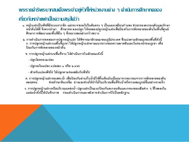 โครงการปลูกหญ้าแฝก