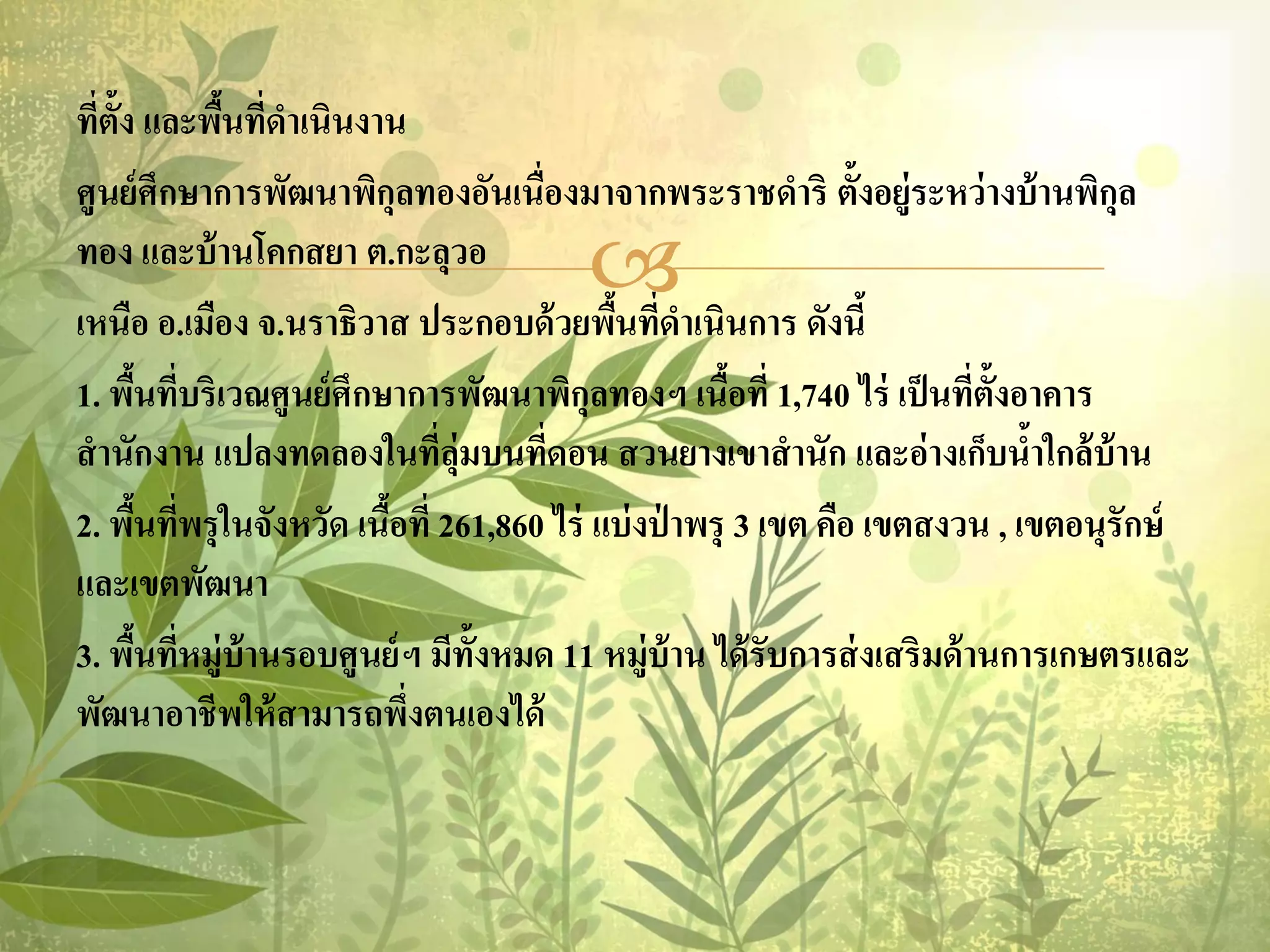 ทีต้ง และพืนที่ดาเนินงาน
  ่ ั       ้
ศูนย์ ศึกษาการพัฒนาพิกุลทองอันเนื่องมาจากพระราชดาริ ตั้งอยู่ระหว่ างบ้ านพิกุล
ทอง และบ้ านโคกสยา ต.กะลุวอ
                                       
เหนือ อ.เมือง จ.นราธิวาส ประกอบด้ วยพืนที่ดาเนินการ ดังนี้
                                           ้
1. พืนทีบริเวณศูนย์ ศึกษาการพัฒนาพิกุลทองฯ เนือที่ 1,740 ไร่ เป็ นที่ต้งอาคาร
      ้ ่                                             ้                 ั
สานักงาน แปลงทดลองในที่ล่ ุมบนทีดอน สวนยางเขาสานัก และอ่ างเก็บนาใกล้ บ้าน
                                     ่                                      ้
2. พืนทีพรุ ในจังหวัด เนือที่ 261,860 ไร่ แบ่ งป่ าพรุ 3 เขต คือ เขตสงวน , เขตอนุรักษ์
       ้ ่               ้
และเขตพัฒนา
3. พืนทีหมู่บ้านรอบศูนย์ ฯ มีท้งหมด 11 หมู่บ้าน ได้ รับการส่ งเสริมด้ านการเกษตรและ
        ้ ่                     ั
พัฒนาอาชีพให้ สามารถพึงตนเองได้
                           ่
 