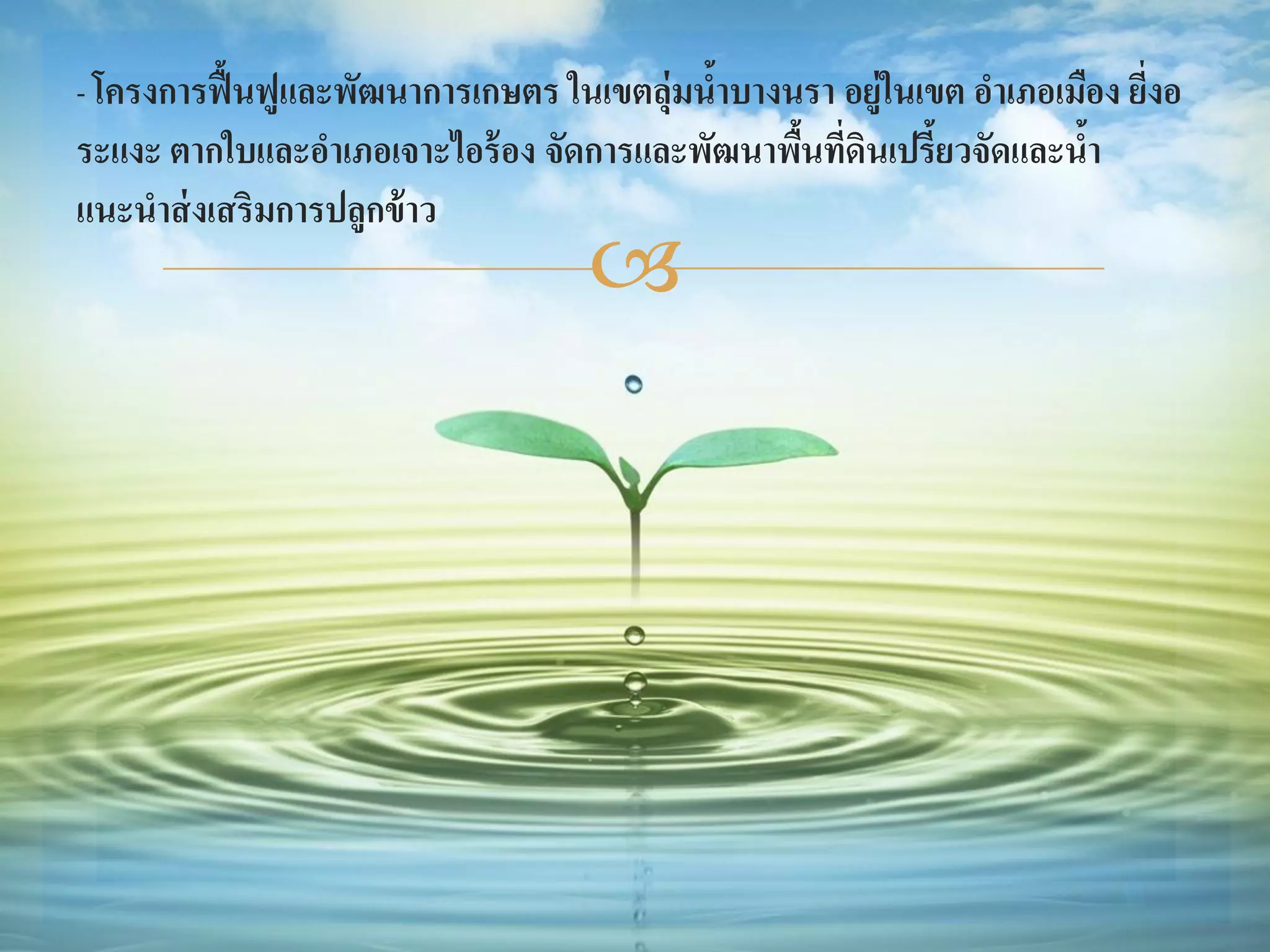 - โครงการฟื้ นฟูและพัฒนาการเกษตร ในเขตลุ่มนาบางนรา อยู่ในเขต อาเภอเมือง ยีงอ
                                           ้                              ่
ระแงะ ตากใบและอาเภอเจาะไอร้ อง จัดการและพัฒนาพืนที่ดินเปรี้ยวจัดและนา
                                               ้                    ้
แนะนาส่ งเสริมการปลูกข้ าว
                                   
 