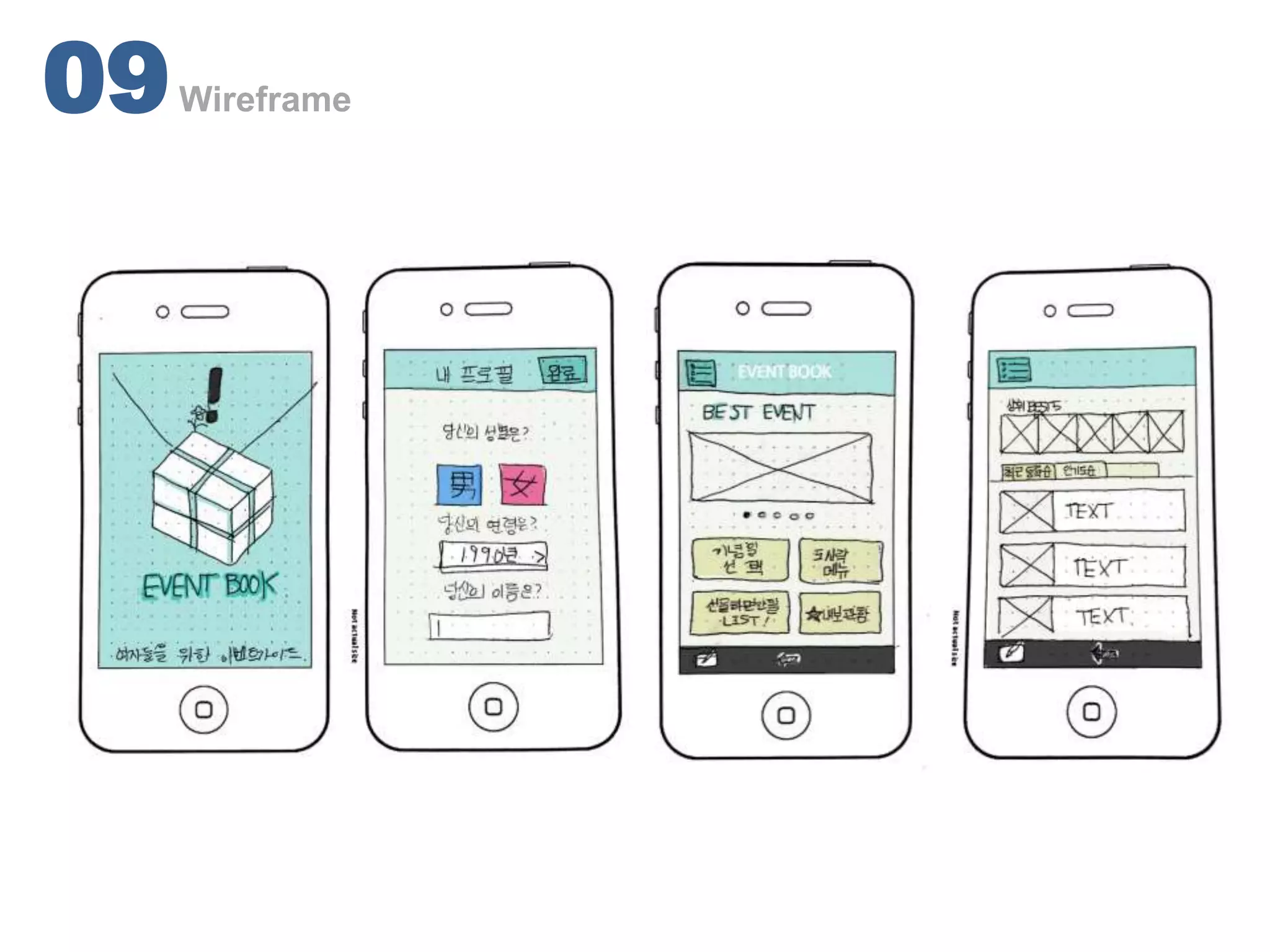 09   Wireframe
 