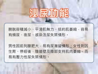 膀胱容積減小、平滑肌無力、括約肌萎縮，容易
有頻尿、夜尿、感染及尿失禁情形。

男性因前列腺肥大，易有尿瀦留情形；女性則因
生育、停經後，陰道壁及陰部支持肌肉萎縮，而
易有壓力性尿失禁情形。
 
