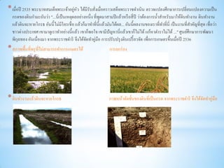 * เมื่อปี 2535 พระบาทสมเด็จพระเจ้าอยูหว ได้มีรับสังเมื่อคราวเสด็จพระราชดาเนิน ตรวจแปลงศึกษาการเปลี่ยนแปลงความเป็ น
                                     ่ ั          ่
  กรดของดินกามะถันว่า "...นี่เป็ นเหตุผลอย่างหนึ่ ง ที่พดมาสามปี แล้วหรื อสี่ ปี ว่าต้องการน้ าสาหรับมาให้ดินทางาน ดินทางาน
                                                         ู
  แล้วดินจะหายโกรธ อันนี้ไม่มีใครเชื่อ แล้วก็มาทาที่น้ ี แล้วมันได้ผล... อันนี้ผลงานของเราที่ทาที่นี่ เป็ นงานที่สาคัญที่สุด เชื่ อว่า
  ชาวต่างประเทศ เขามาดูเราทาอย่างนี้แล้ว เขาก็พอใจ เขามีปัญหานี่ แล้วเขาก็ไม่ได้ แก้หาตาราไม่ได้ ..." ศูนย์ศึกษาการพัฒนา
  พิกุลทอง อันเนื่องมา จากพระราชดาริ จึงได้จดทาคู่มือ การปรับปรุ งดินเปรี้ ยวจัด เพื่อการเกษตรขึ้นเมื่อปี 2536
                                              ั
* สภาพพื้นที่พรุ ที่ไม่สามารถทาการเกษตรได้                      การยกร่ อง




* ดินทางานแล้วดินจะหายโกรธ                                      ภาพหน้าตัดชั้นของดินที่เป็ นกรด จากพระราชดาริ จึงได้จดทาคู่มือ
                                                                                                                     ั
 