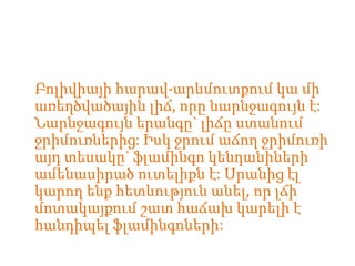 Բոլիվիայի հարավ-արևմուտքում կա մի
առեղծվածային լիճ, որը նարնջագույն է:
Նարնջագույն երանգը` լիճը ստանում
ջրիմուռներից: Իսկ ջրում աճող ջրիմուռի
այդ տեսակը` ֆլամինգո կենդանիների
ամենասիրած ուտելիքն է: Սրանից էլ
կարող ենք հետևություն անել, որ լճի
մոտակայքում շատ հաճախ կարելի է
հանդիպել ֆլամինգոների:
 