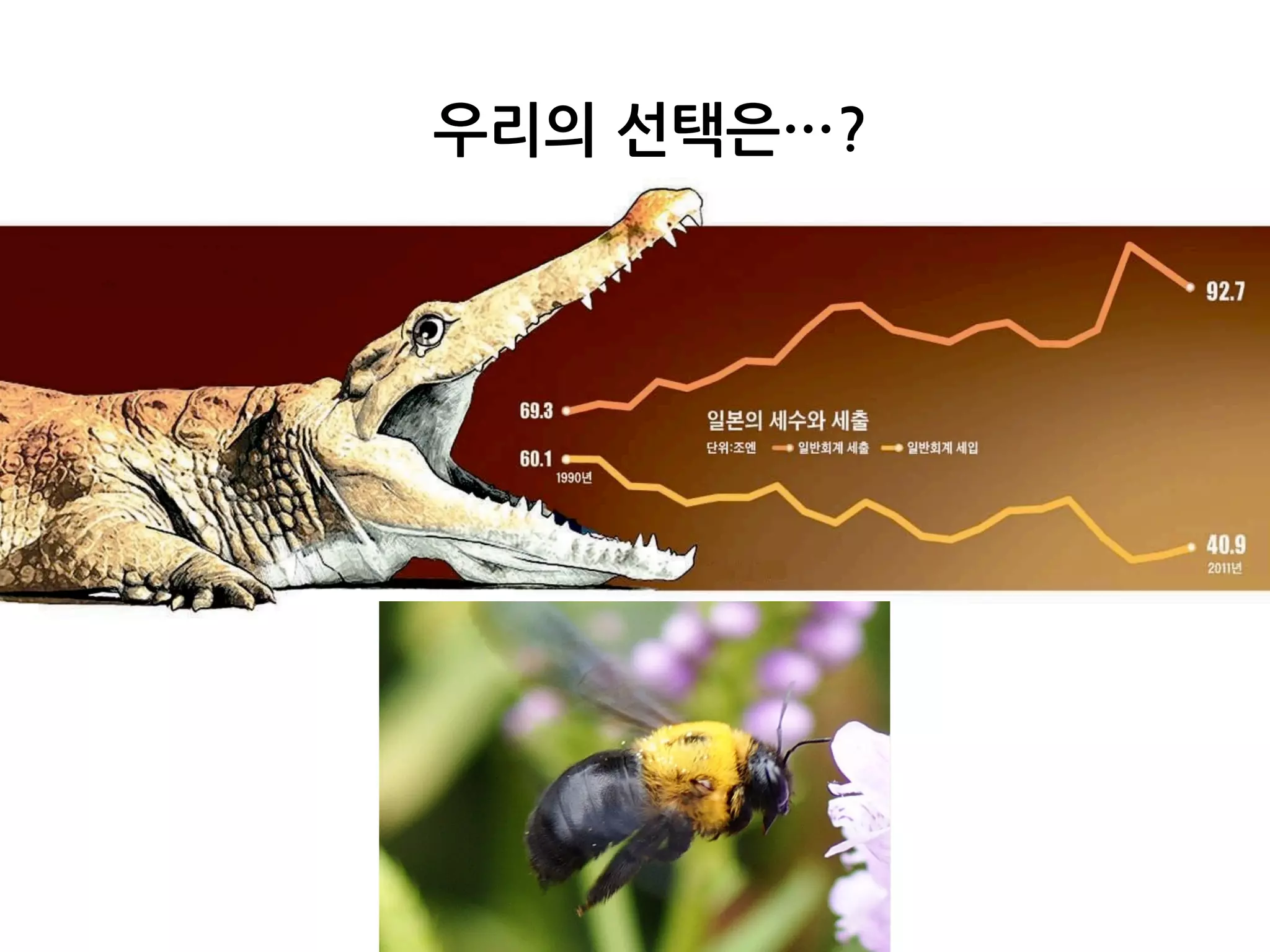  나라의	
 