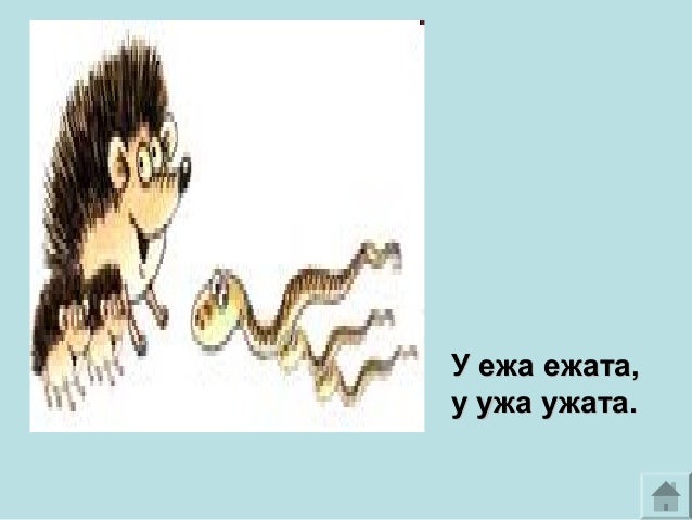 картинки у ежа ежата у ужа ужата онлайн картинки у ежа ежата у ужа ужата