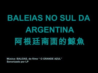 BALEIAS NO SUL DA
   ARGENTINA
 阿根廷南面的鯨魚
Música: BALEIAS, do filme “ O GRANDE AZUL”
Sonorizado por LP
 