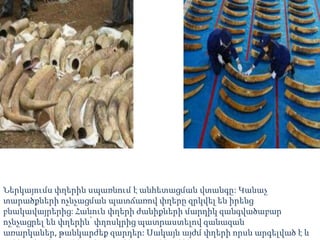 Ներկայումս փղերին սպառնում է անհետացման վտանգը: Կանաչ
տարածքների ոչնչացման պատճառով փղերը զրկվել են իրենց
բնակավայրերից: Հանուն փղերի ժանիքների մարդիկ զանգվածաբար
ոչնչացրել են փղերին՝ փղոսկրից պատրաստելով զանազան
առարկաներ, թանկարժեք զարդեր: Սակայն այժմ փղերի որսն արգելված է և
 