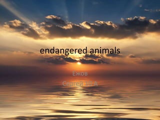 endangered animals

        Ежов
     Сергей 10 А
 