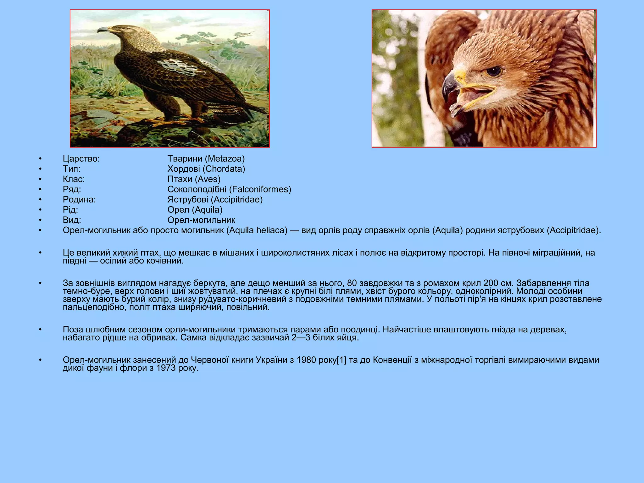 •   Царство:               Тварини (Metazoa)
•   Тип:                   Хордові (Chordata)
•   Клас:                  Птахи (Aves)
•   Ряд:                   Соколоподібні (Falconiformes)
•   Родина:                Яструбові (Accipitridae)
•   Рід:                   Орел (Aquila)
•   Вид:                   Орел-могильник
•   Орел-могильник або просто могильник (Aquila heliaca) — вид орлів роду справжніх орлів (Aquila) родини яструбових (Accipitridae).

•   Це великий хижий птах, що мешкає в мішаних і широколистяних лісах і полює на відкритому просторі. На півночі міграційний, на
    півдні — осілий або кочівний.

•   За зовнішнів виглядом нагадує беркута, але дещо менший за нього, 80 завдовжки та з ромахом крил 200 см. Забарвлення тіла
    темно-буре, верх голови і шиї жовтуватий, на плечах є крупні білі плями, хвіст бурого кольору, одноколірний. Молоді особини
    зверху мають бурий колір, знизу рудувато-коричневий з подовжніми темними плямами. У польоті пір'я на кінцях крил розставлене
    пальцеподібно, політ птаха ширяючий, повільний.

•   Поза шлюбним сезоном орли-могильники тримаються парами або поодинці. Найчастіше влаштовують гнізда на деревах,
    набагато рідше на обривах. Самка відкладає зазвичай 2—3 білих яйця.

•   Орел-могильник занесений до Червоної книги України з 1980 року[1] та до Конвенції з міжнародної торгівлі вимираючими видами
    дикої фауни і флори з 1973 року.
 