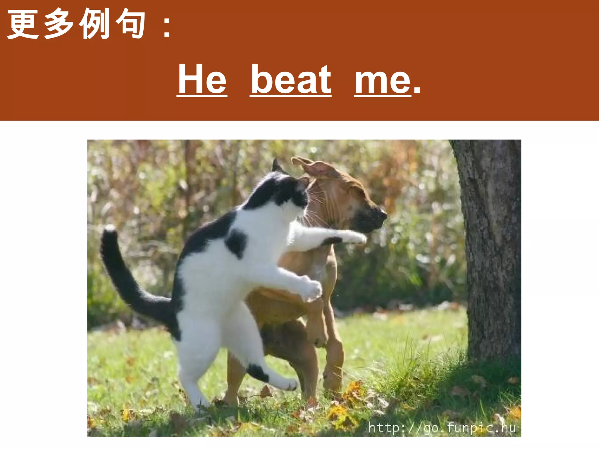 更多例句：
        He beat me.
 