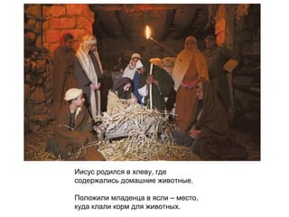 Иисус родился в хлеву, где
содержались домашние животные.

Положили младенца в ясли – место,
куда клали корм для животных.
 