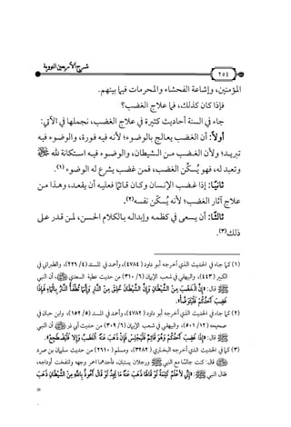 شرح متن الأربعين النووية
