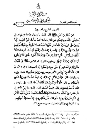 شرح متن الأربعين النووية