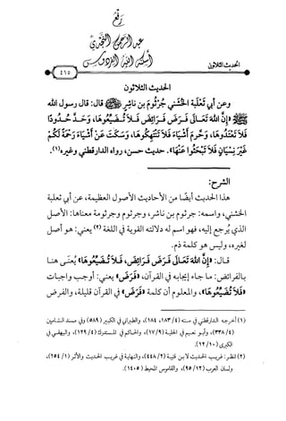 شرح متن الأربعين النووية