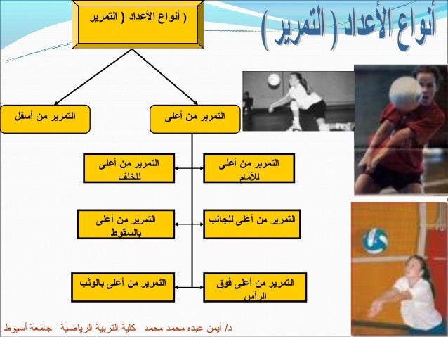 الشامل في الكرة الطائرة
