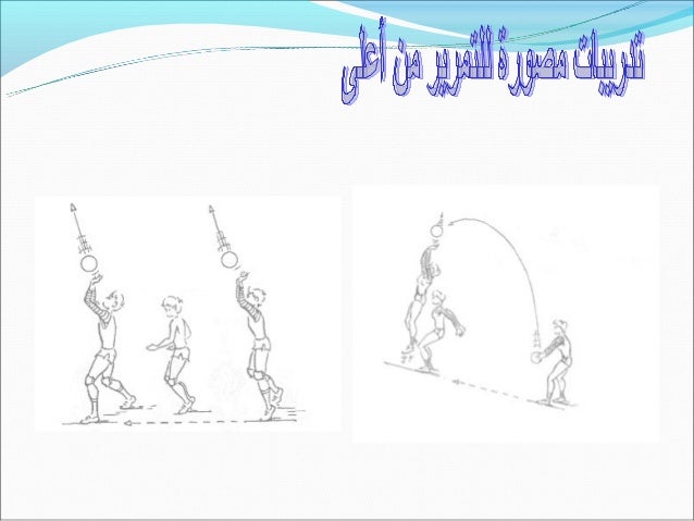 الشامل في الكرة الطائرة