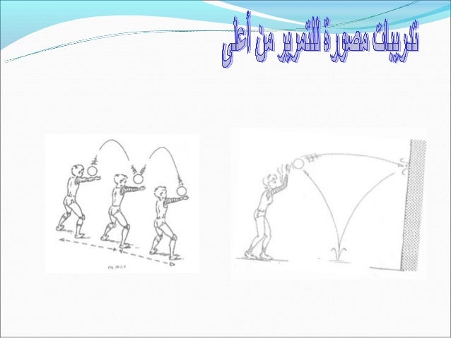 الشامل في الكرة الطائرة