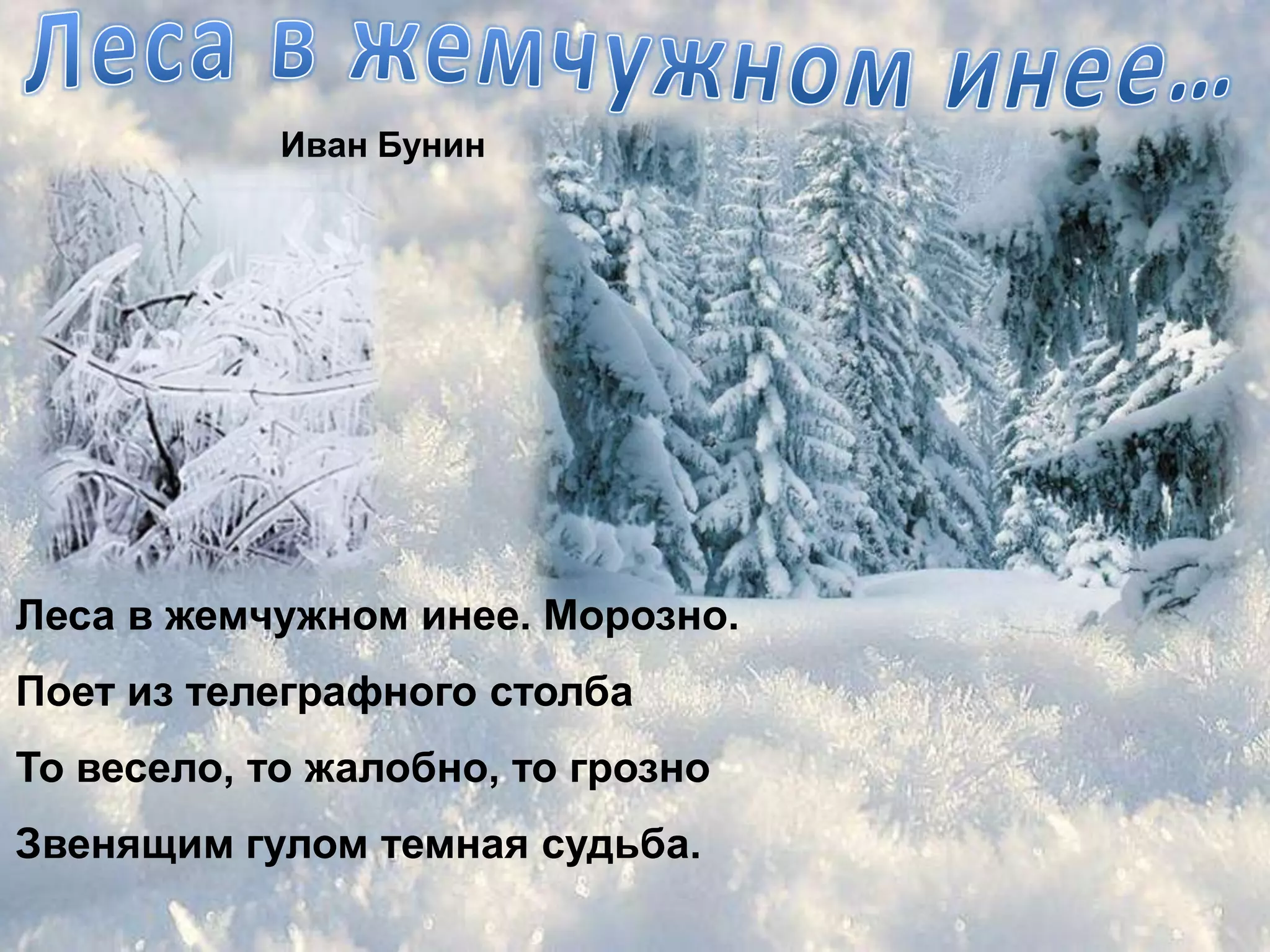 Иван Бунин




Леса в жемчужном инее. Морозно.
Поет из телеграфного столба
То весело, то жалобно, то грозно
Звенящим гулом темная судьба.
 