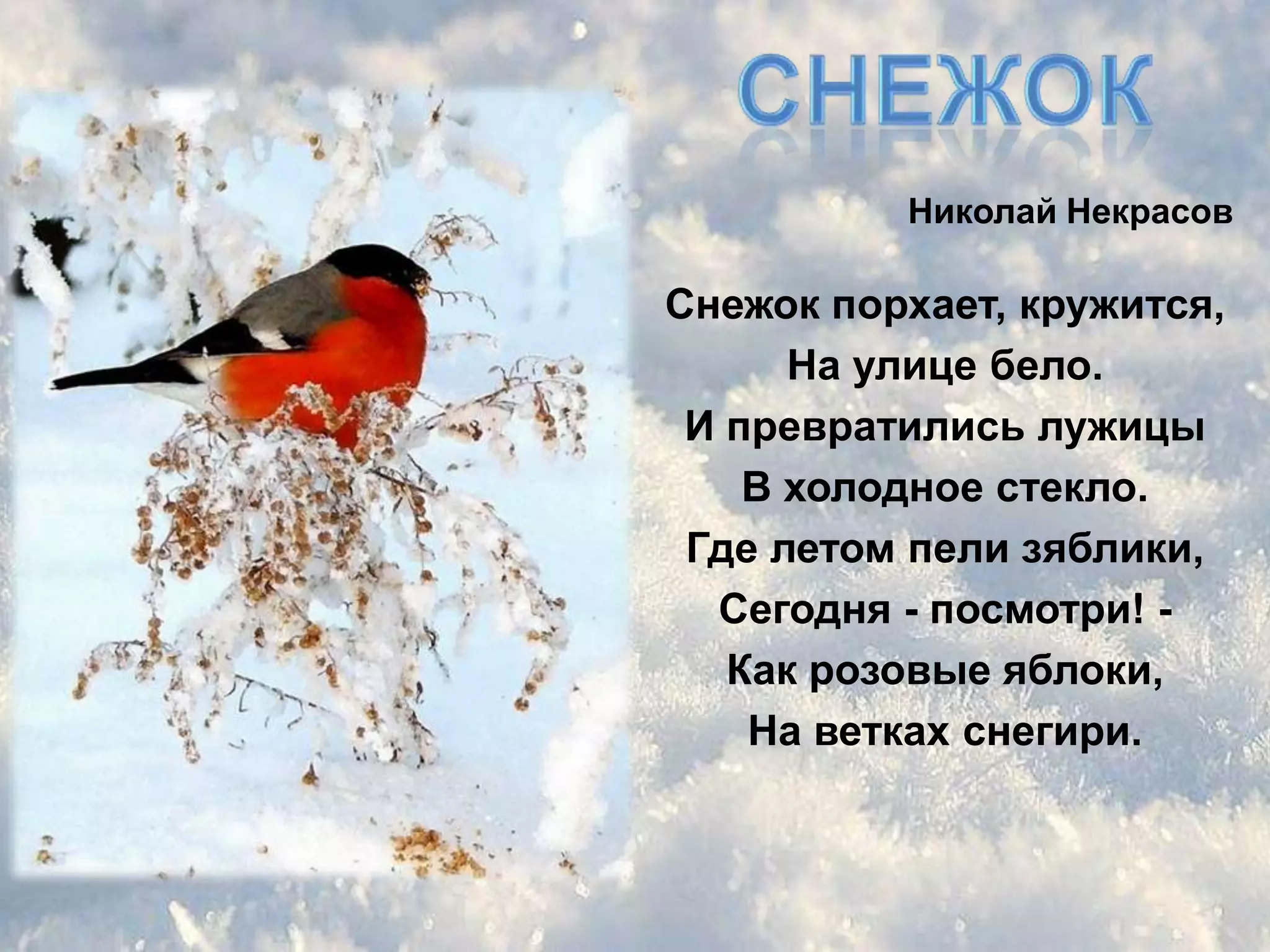 Николай Некрасов

Снежок порхает, кружится,
      На улице бело.
 И превратились лужицы
    В холодное стекло.
 Где летом пели зяблики,
  Сегодня - посмотри! -
   Как розовые яблоки,
    На ветках снегири.
 