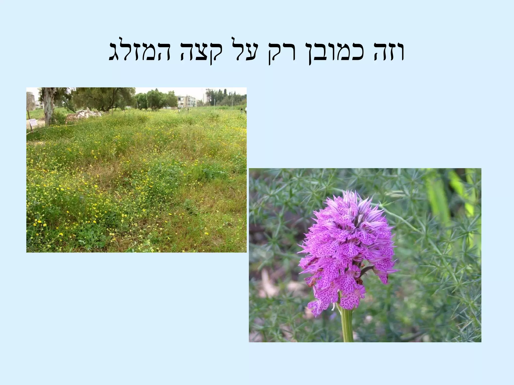 ‫וזה כמובן רק על קצה המזלג‬
 