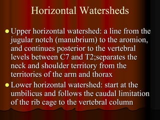 Horizontal Watersheds
 Upper   horizontal watershed: a line from the
  jugular notch (manubrium) to the aromion,
  and continues posterior to the vertebral
  levels between C7 and T2;separates the
  neck and shoulder territory from the
  territories of the arm and thorax
 Lower horizontal watershed: start at the
  umbilicus and follows the caudal limitation
  of the rib cage to the vertebral column
 