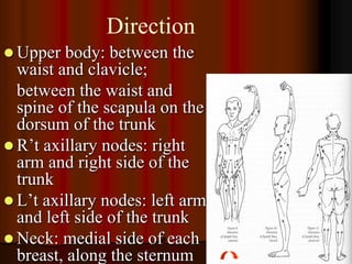Direction
 Upper  body: between the
  waist and clavicle;
  between the waist and
  spine of the scapula on the
  dorsum of the trunk
 R’t axillary nodes: right
  arm and right side of the
  trunk
 L’t axillary nodes: left arm
  and left side of the trunk
 Neck: medial side of each
  breast, along the sternum
 