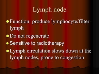 Lymph node
 Function:   produce lymphocyte/filter
  lymph
 Do not regenerate
 Sensitive   to radiotherapy
 Lymph circulation slows down at the
 lymph nodes, prone to congestion
 